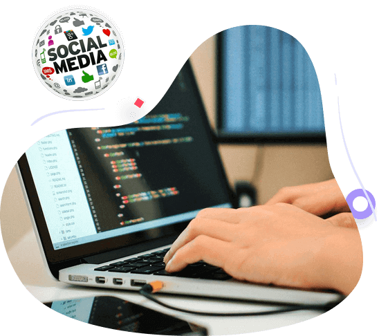 Social Networking Portal Development